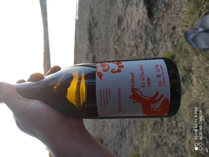 Le Ginglet - Domaine Bornard - Tony Bornard 