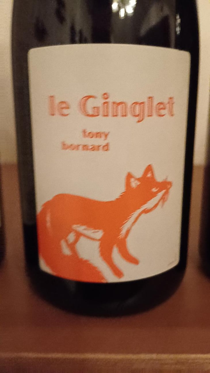 Le Ginglet - Domaine Bornard - Tony Bornard 