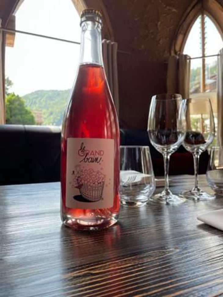 Le Grand Bain Rosé - France Gonzalvez - Savoie - France Gonzalvez 