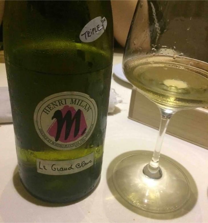 Le Grand Blanc - Domaine Milan - Emma, Théophile & Henri Milan 