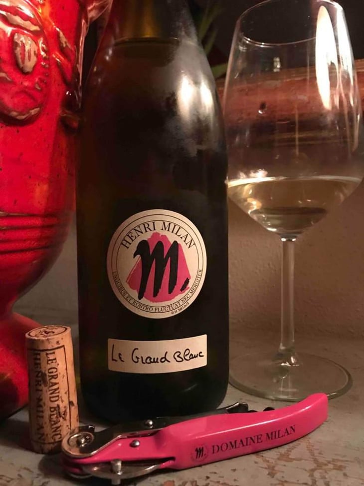 Le Grand Blanc - Domaine Milan - Emma, Théophile & Henri Milan 