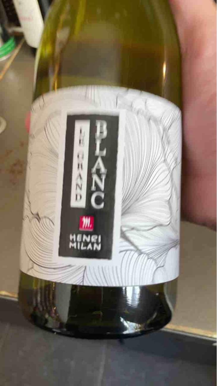 Le Grand Blanc - Domaine Milan - Emma, Théophile & Henri Milan 