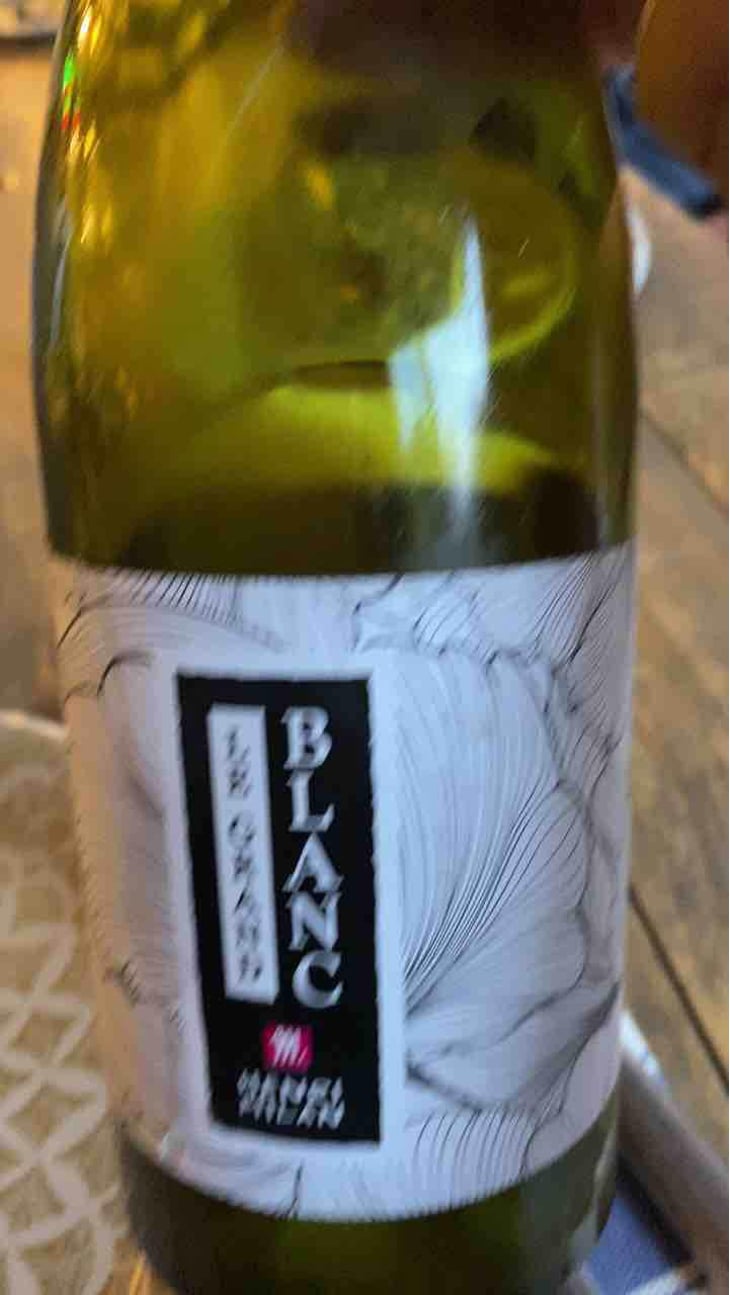 Le Grand Blanc - Domaine Milan - Emma, Théophile & Henri Milan 