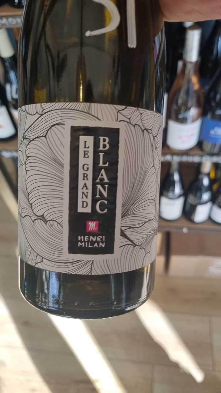 Le Grand Blanc - Domaine Milan - Emma, Théophile & Henri Milan 