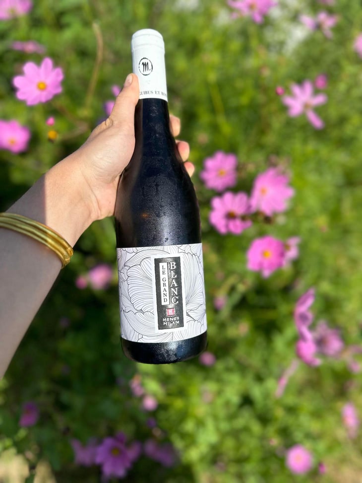 Le Grand Blanc - Domaine Milan - Emma, Théophile & Henri Milan 