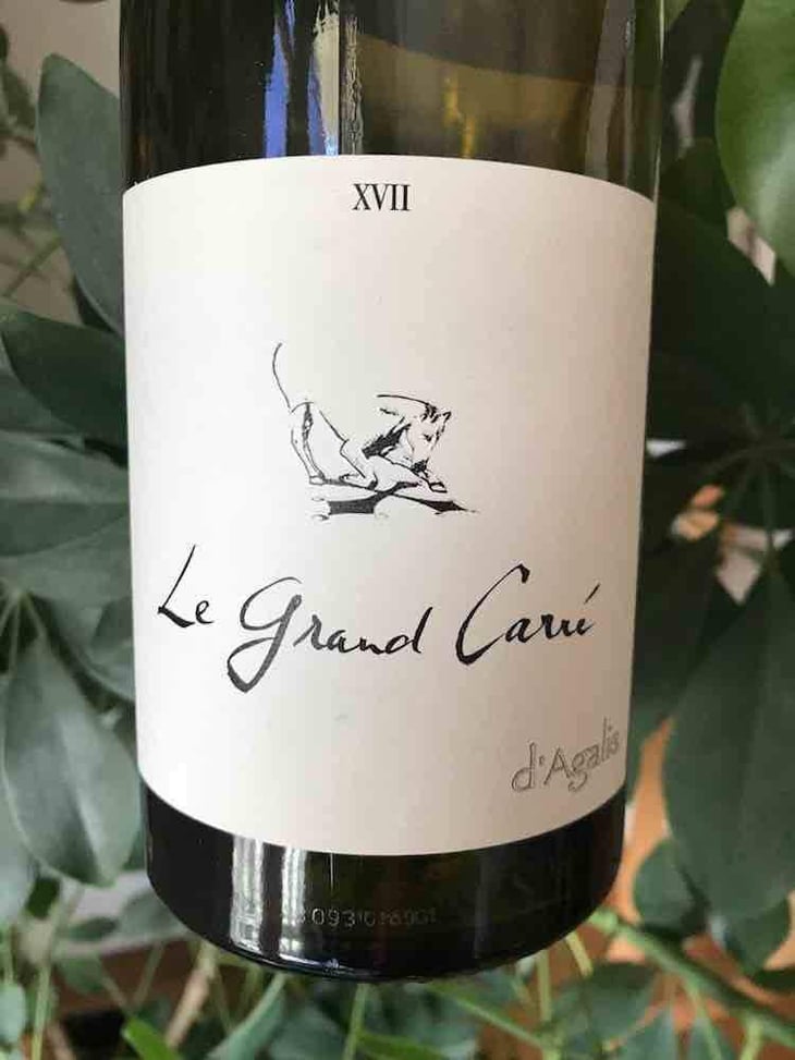 Le Grand Carré - Mas d'Agalis - Lionel Maurel 