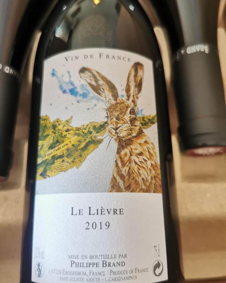Le Lievre - Domaine Brand & Fils - Philippe Brand 