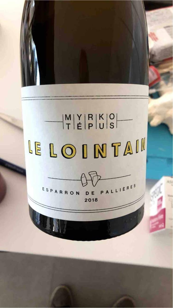 Le Lointain - Myrko Tépus - Myrko Tépus 