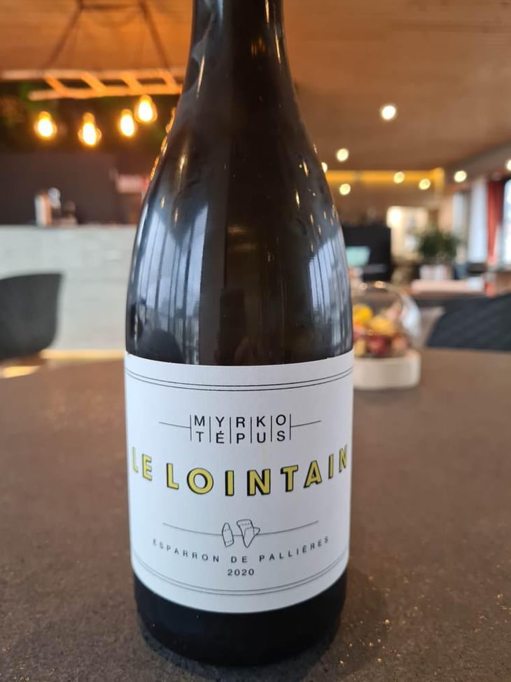 Le Lointain - Myrko Tépus - Myrko Tépus 