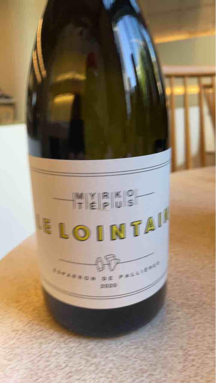 Le Lointain - Myrko Tépus - Myrko Tépus 