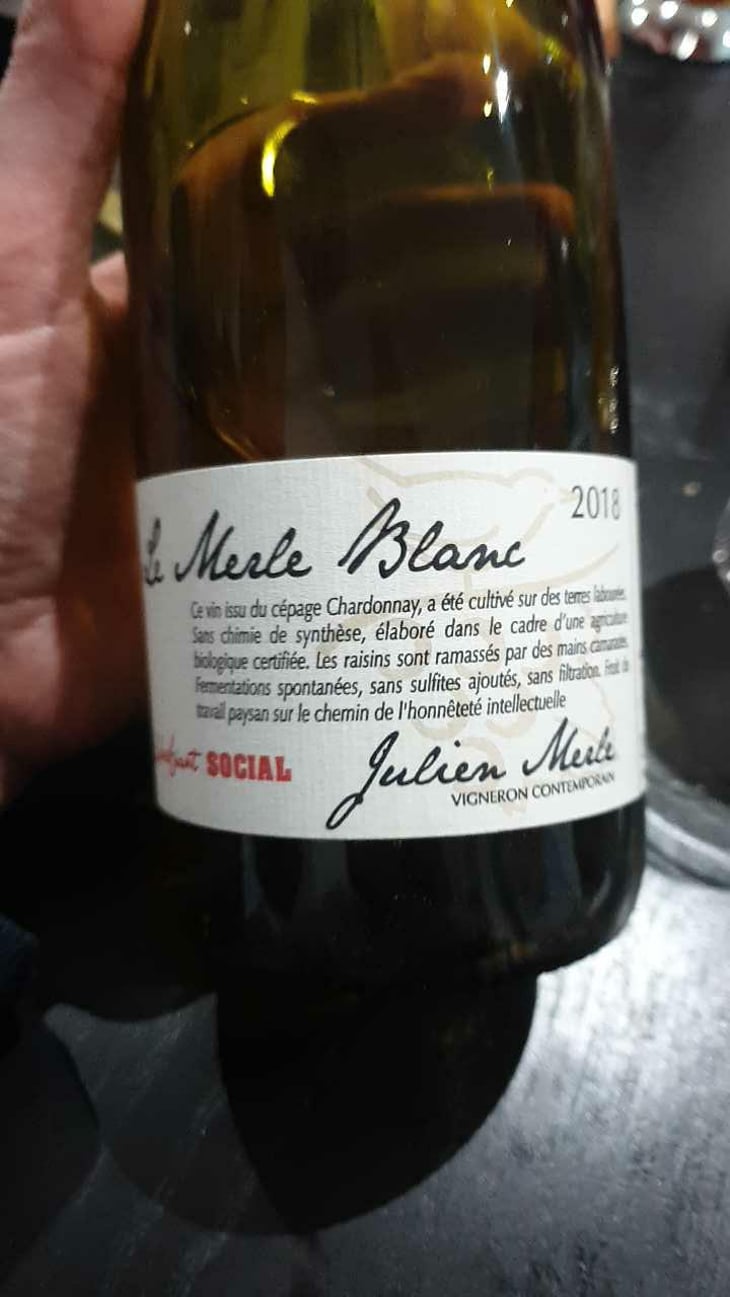 Le Merle Blanc - Julien Merle - Julien Merle 