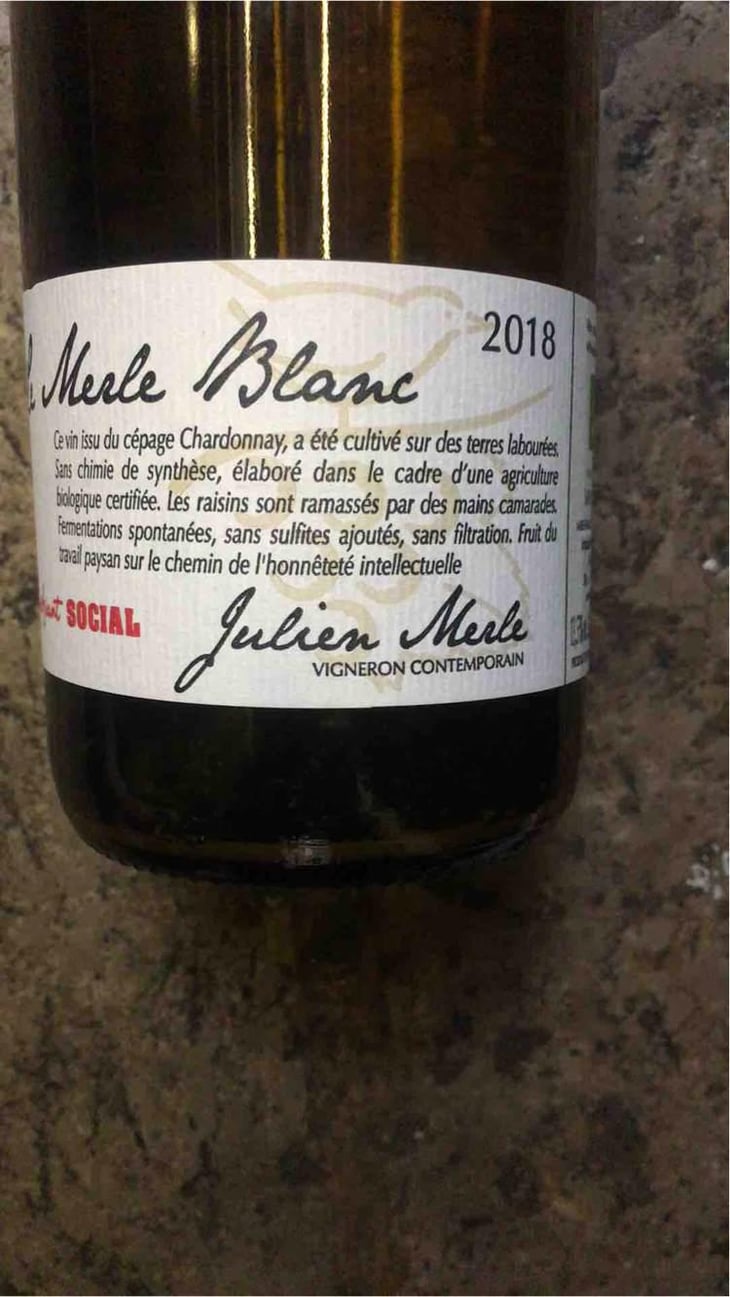 Le Merle Blanc - Julien Merle - Julien Merle 