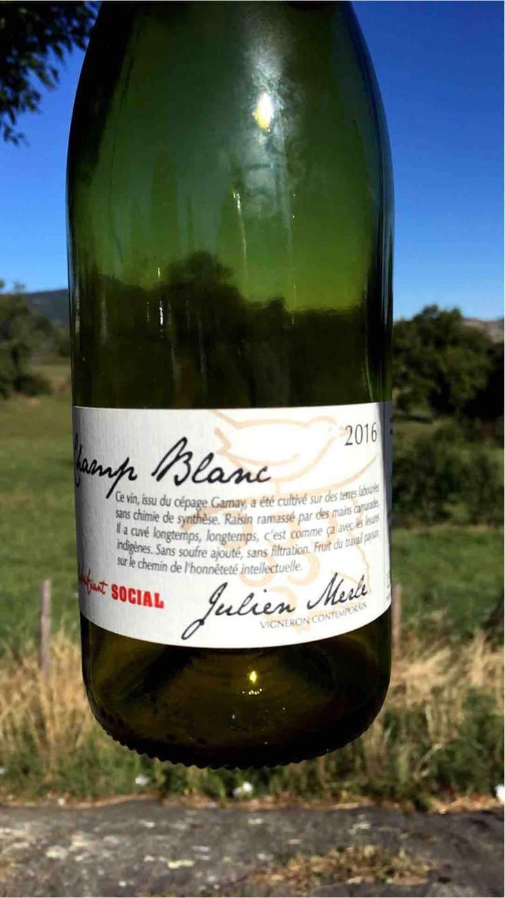 Le Merle Blanc - Julien Merle - Julien Merle 