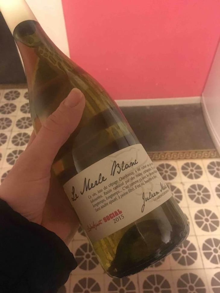 Le Merle Blanc - Julien Merle - Julien Merle 