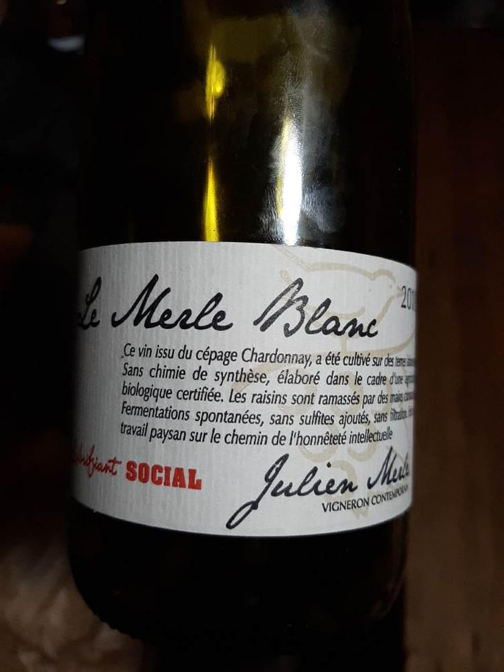 Le Merle Blanc - Julien Merle - Julien Merle 