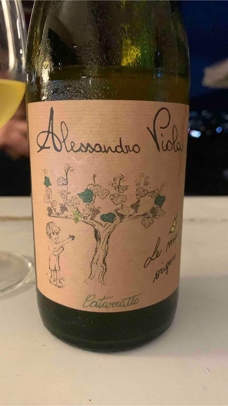 Le Mie Origini - Azienda Agricola Alessandro Viola - Alessandro Viola 