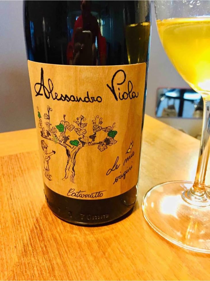 Le Mie Origini - Azienda Agricola Alessandro Viola - Alessandro Viola 
