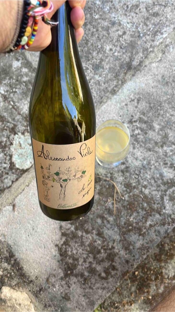 Le Mie Origini - Azienda Agricola Alessandro Viola - Alessandro Viola 