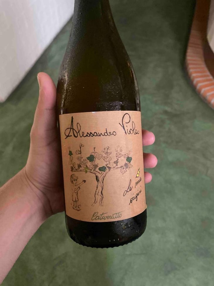 Le Mie Origini - Azienda Agricola Alessandro Viola - Alessandro Viola 