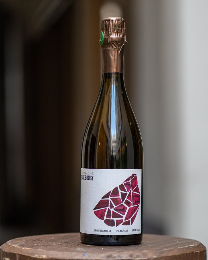 Le Mont Chainqueux - Elise Bougy - Elise Bougy 