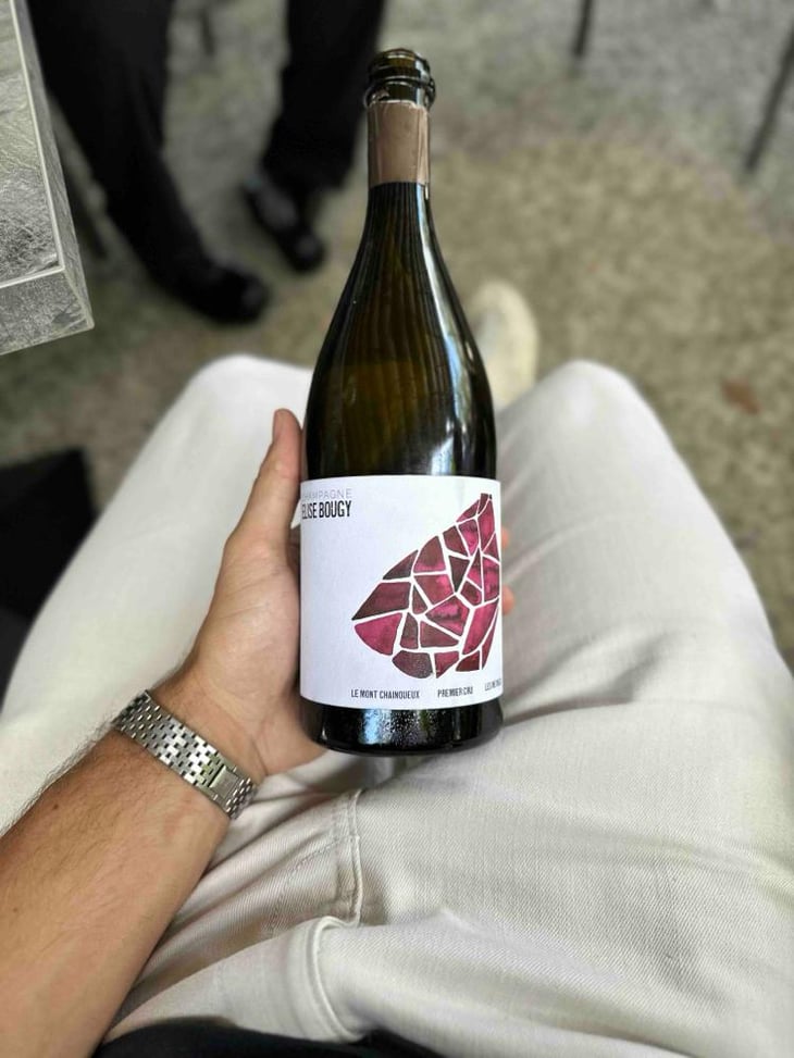 Le Mont Chainqueux - Elise Bougy - Elise Bougy 