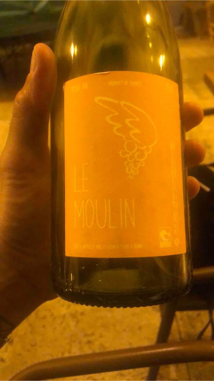 Le Moulin - Le Raisin à Plume - Jacques Février 