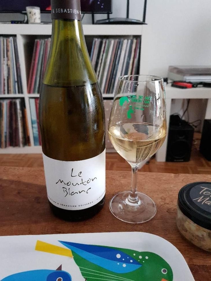 Le Mouton Blanc - Domaine La Vigne Mouton - Margaux Calland & Valentin Richoux 