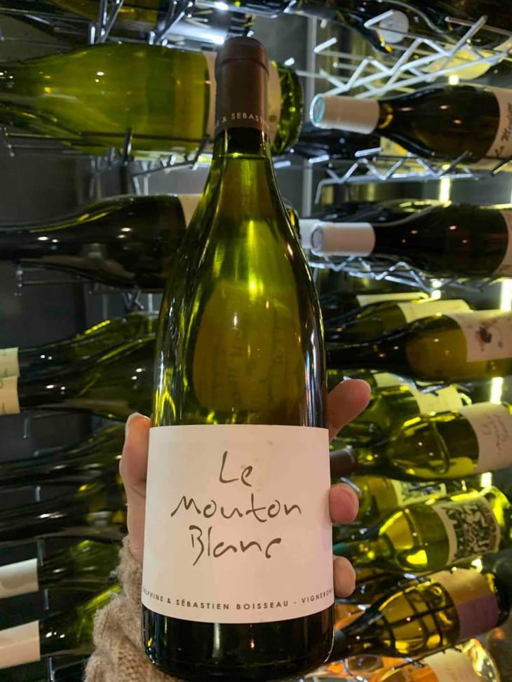 Le Mouton Blanc - Domaine La Vigne Mouton - Margaux Calland & Valentin Richoux 