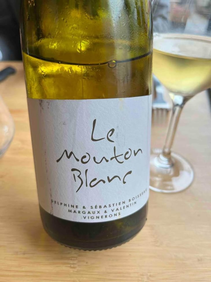 Le Mouton Blanc - Domaine La Vigne Mouton - Margaux Calland & Valentin Richoux 