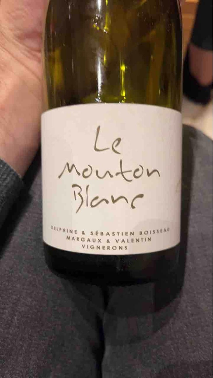 Le Mouton Blanc - Domaine La Vigne Mouton - Margaux Calland & Valentin Richoux 