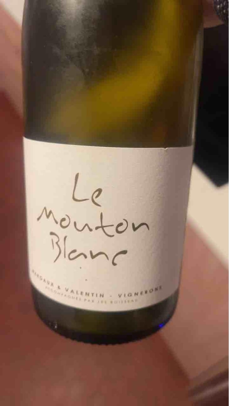Le Mouton Blanc - Domaine La Vigne Mouton - Margaux Calland & Valentin Richoux 