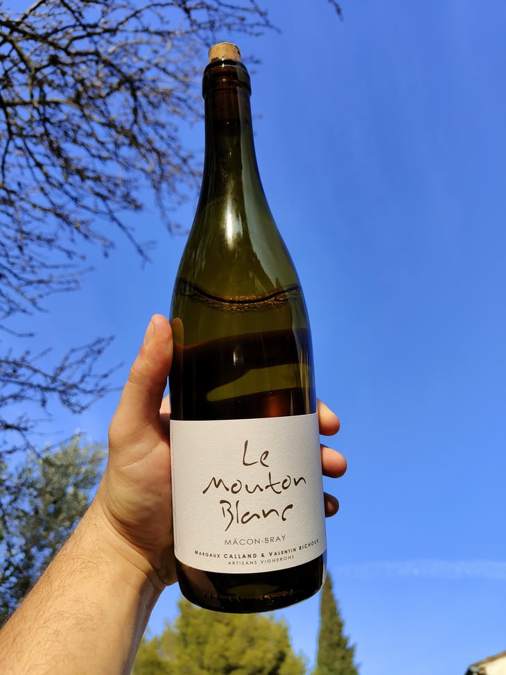 Le Mouton Blanc - Domaine La Vigne Mouton - Margaux Calland & Valentin Richoux 