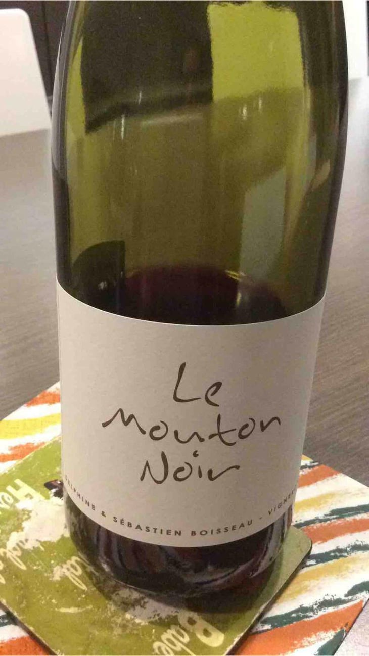 Le Mouton Noir - Domaine La Vigne Mouton - Margaux Calland & Valentin Richoux -2020