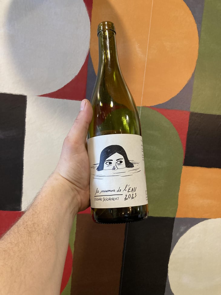 Le Murmure de l'Eau - Domaine Etienne Seignovert - Etienne Seignovert 