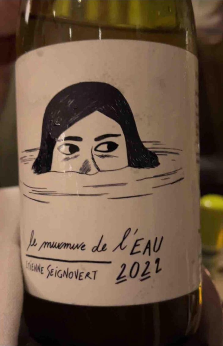 Le Murmure de l'Eau - Domaine Etienne Seignovert - Etienne Seignovert 
