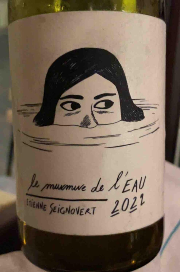Le Murmure de l'Eau - Domaine Etienne Seignovert - Etienne Seignovert 