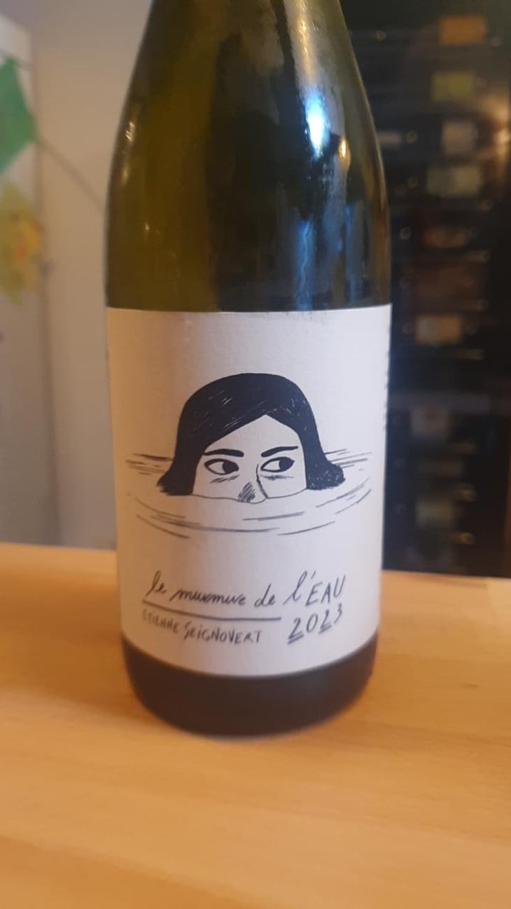 Le Murmure de l'Eau - Domaine Etienne Seignovert - Etienne Seignovert 