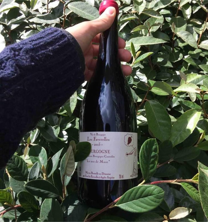Le nez de Muse rouge - Domaine des Faverelles - Isabelle & Patrick Georgelin 