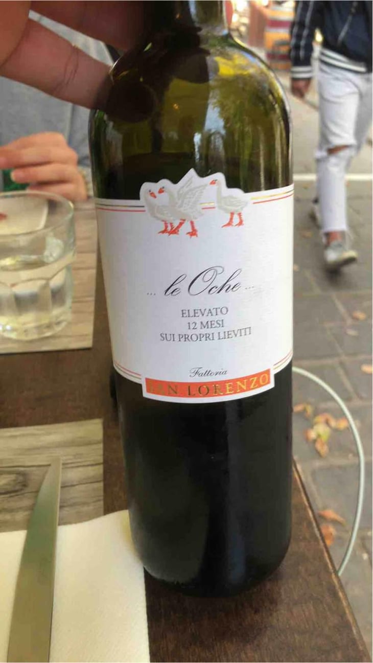 Le Oche - Fattoria San Lorenzo - Natalino Crognaletti 