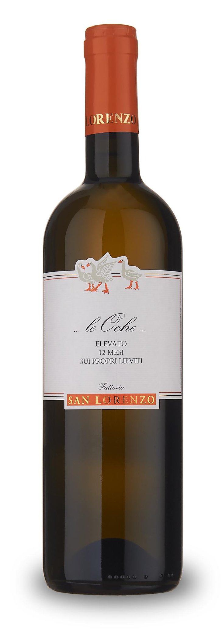 Le Oche - Fattoria San Lorenzo - Natalino Crognaletti 
