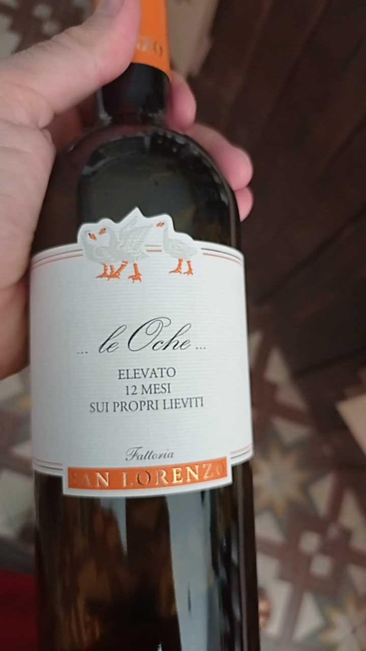 Le Oche - Fattoria San Lorenzo - Natalino Crognaletti 