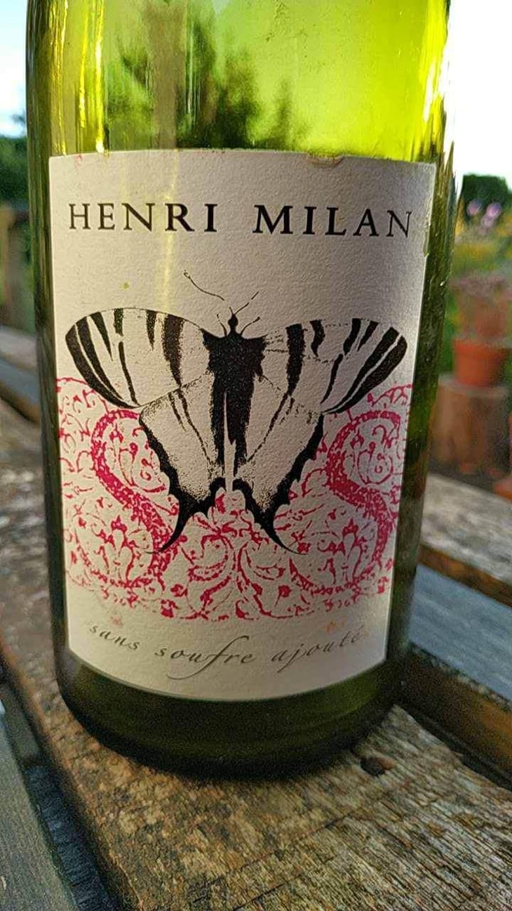 Le Papillon blanc - Domaine Milan - Emma, Théophile & Henri Milan 