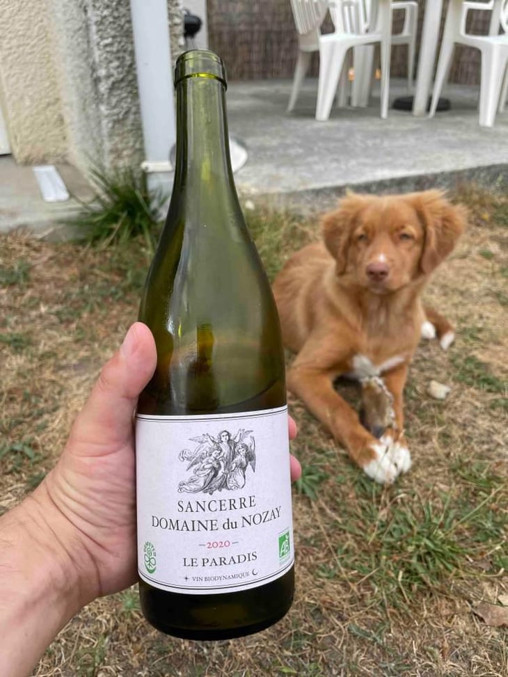 Le Paradis - Domaine Du Nozay - Cyril de Benoist 