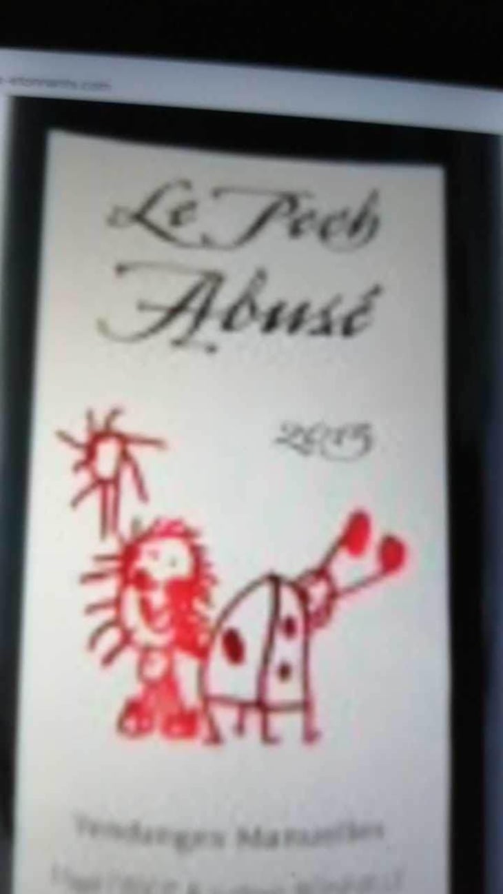 Le Pech Abusé - Domaine du Pech - Magali Tissot & Ludovic Bonnelle 