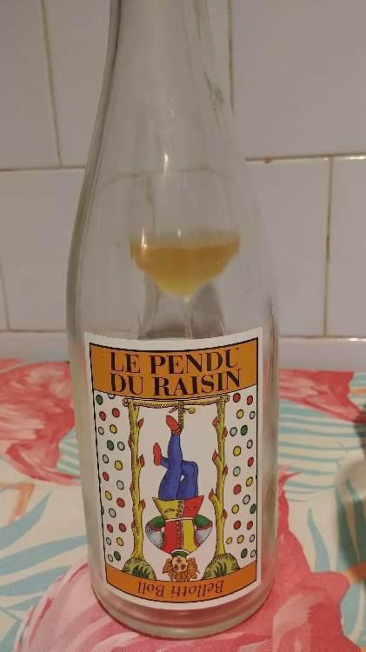 Le Pendu Du Raisin - Cascina degli Ulivi - Ilaria Bellotti 