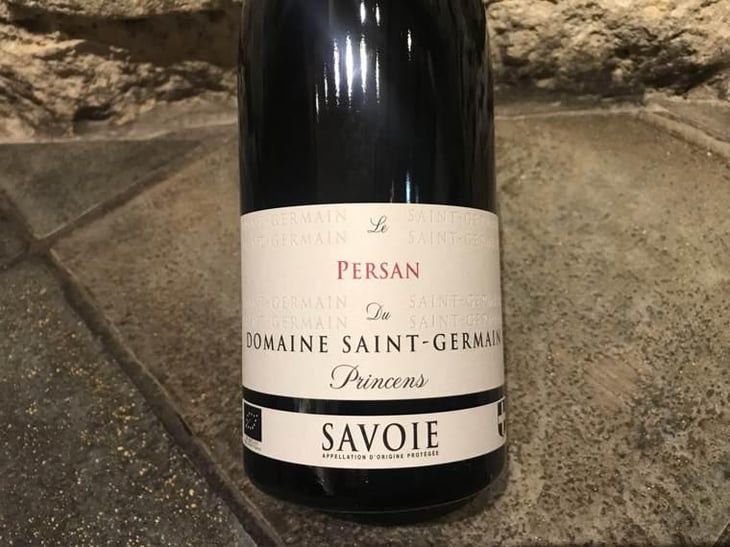 Le Persan du Princens - Domaine Saint Germain - Raphael Saint-Germain -2021