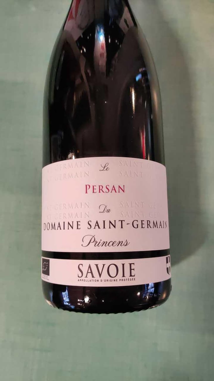 Le Persan du Princens - Domaine Saint Germain - Raphael Saint-Germain -2021