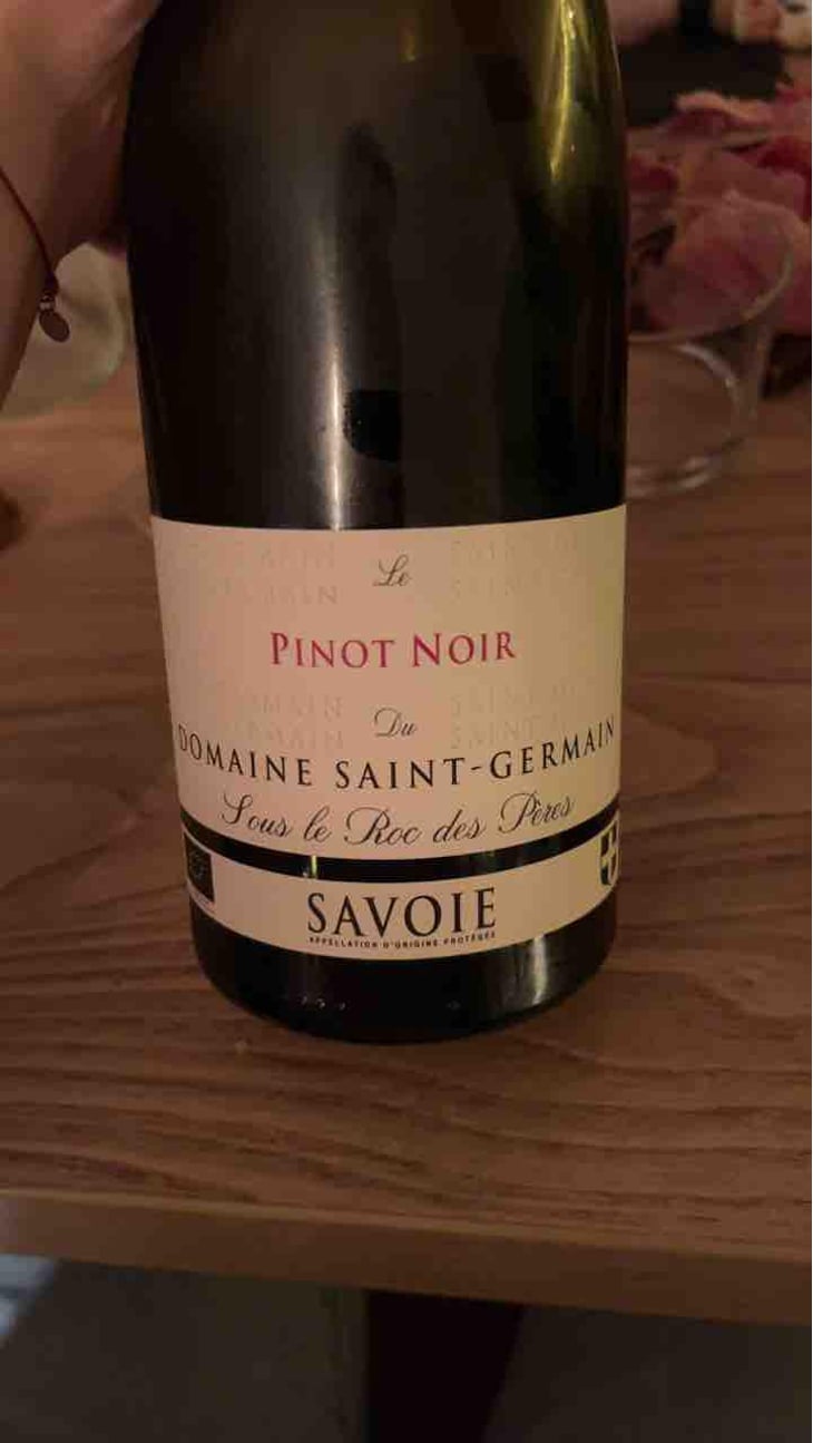 Le Persan du Princens - Domaine Saint Germain - Raphael Saint-Germain -2021
