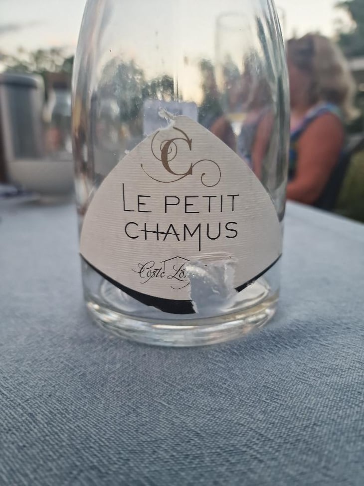 Le Petit Chamus - COSTE LONGUIERE - Patrick Repellin -2021