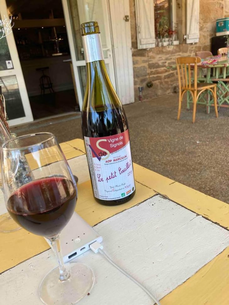 Le Petit Couillut - Vigne De Signols - Yvan-Marie Ruffié 
